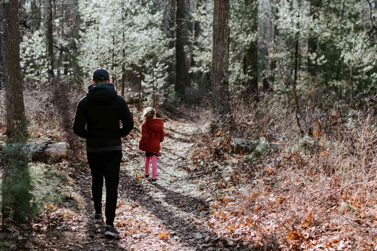 ayah dan anak sedang jalan santai di hutan