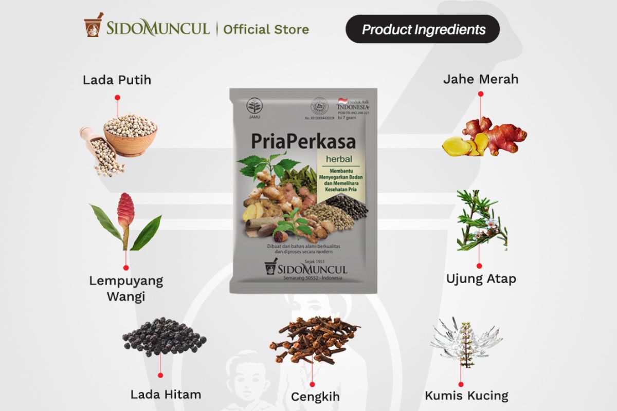 produk Jamu Pria Perkasa dan komposisinya