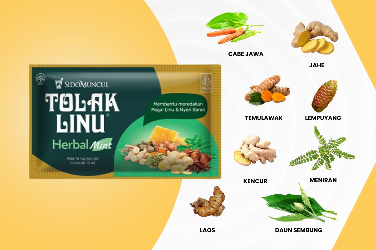 Komposisi Sido Muncul Tolak Linu Mint Cair Herbal