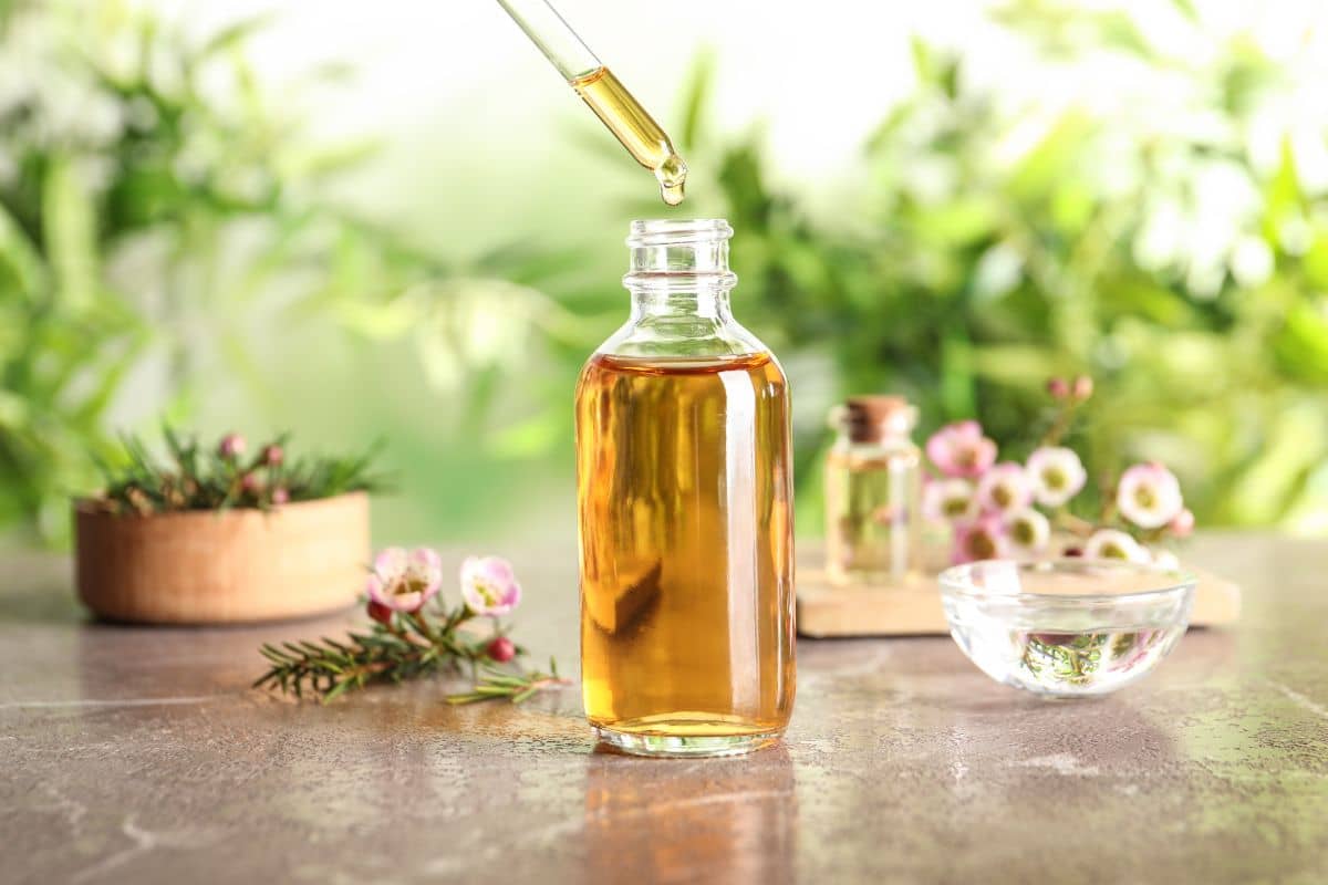 Tea tree oil dalam botol kaca