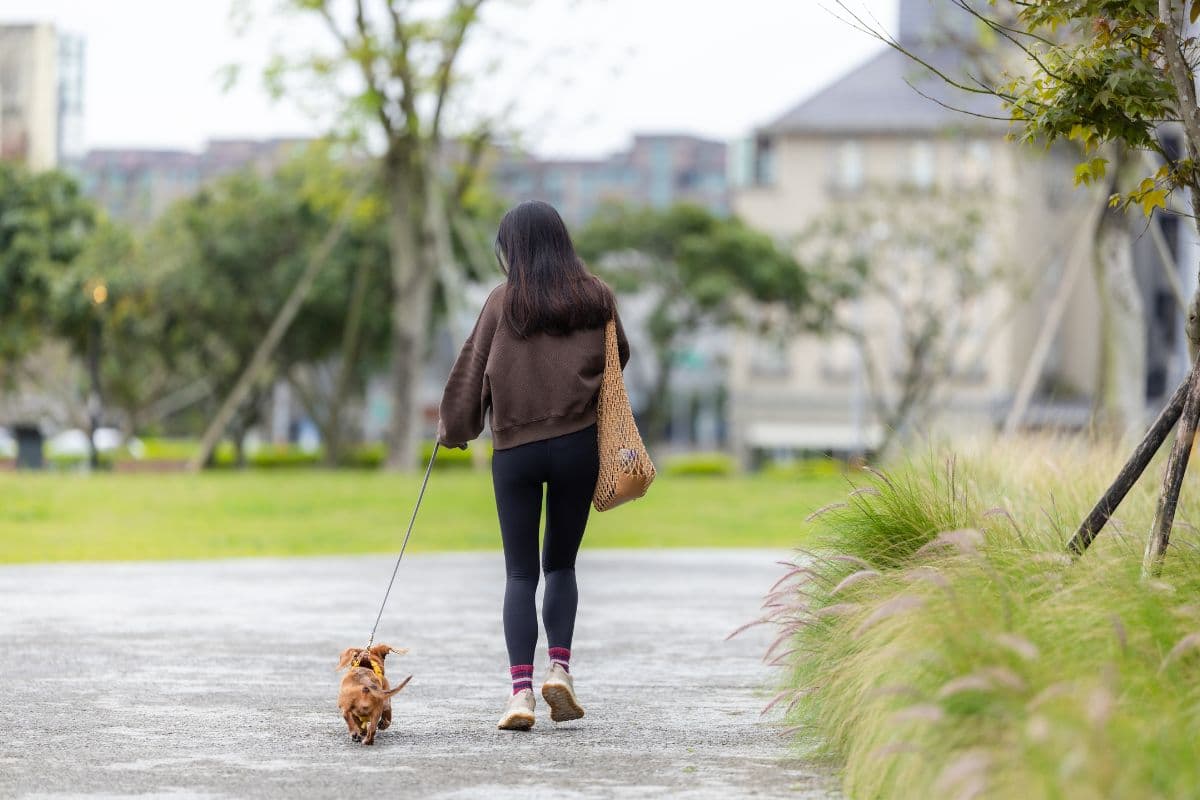 Seorang wanita sedang berjalan-jalan di taman