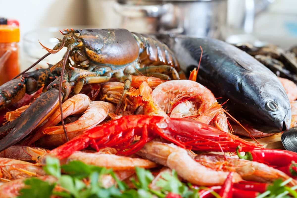 Hidangan laut: Ikan, udang, dan lobster