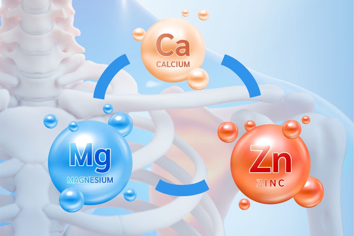 Mineral Kalsium, Magnesium, dan Zinc yang baik untuk kesehatan tulang