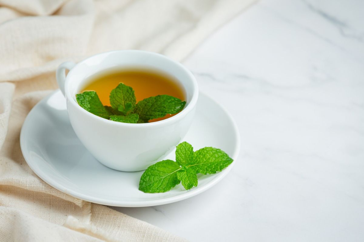 Segelas Spearmint Tea hangat