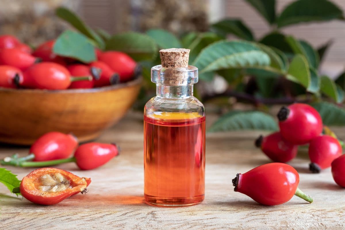 Rosehip oil dalam botol kaca tembus pandang