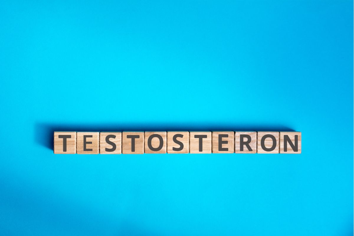 Blok scrabble bertuliskan testosteron