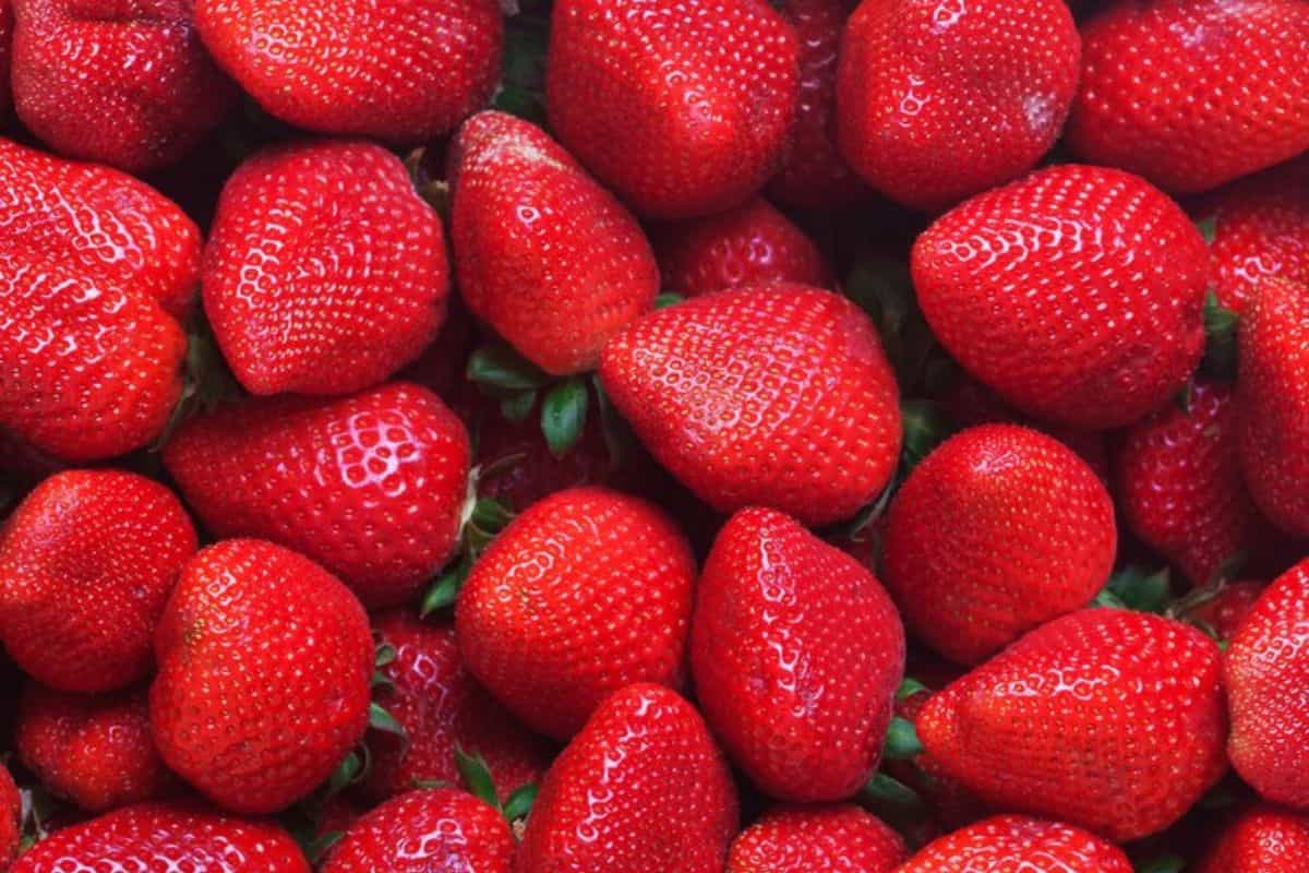 Close up tumpukan buah strawberry