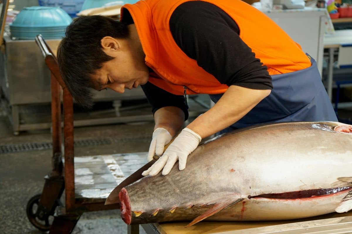 orang yang sedang membersihkan ikan