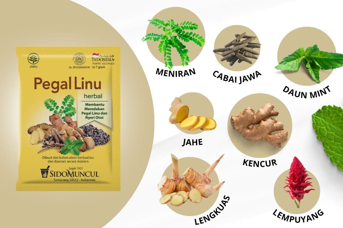 Komposisi produk Sido Muncul Jamu Pegal Linu