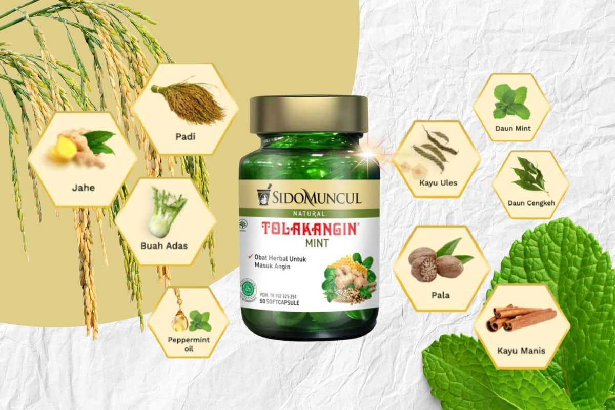 Produk Sido Muncul Natural Tolak Angin Mint dan komposisinya